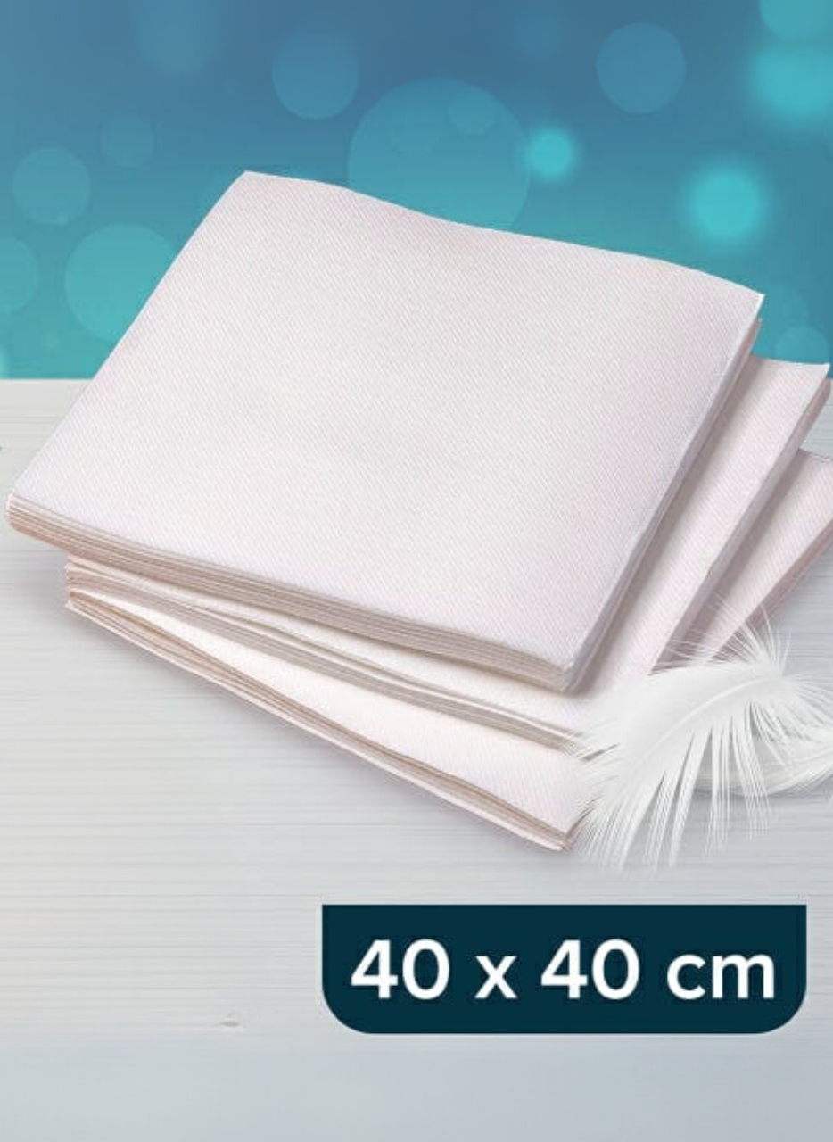 Paper Napkin